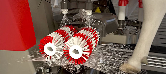 Lely Cleaning Brush