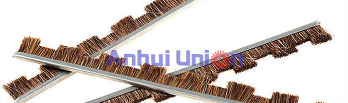 Horse Hair Brush Strip