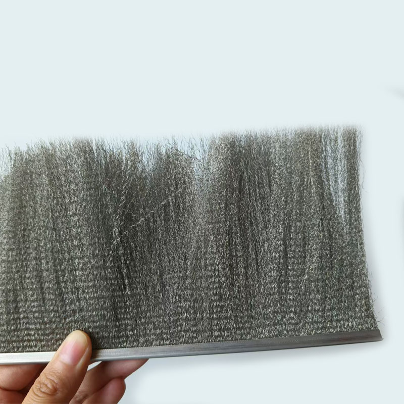 Wire strip brush for seal